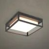 Trio Lighting Udendørs Loftlamper>LED udendørs loftslampe Witham IP54, CCT, antracit