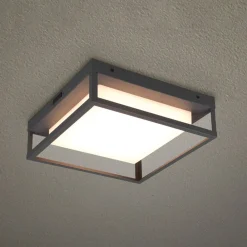 Trio Lighting Udendørs Loftlamper>LED udendørs loftslampe Witham IP54, CCT, antracit