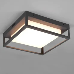 Trio Lighting Udendørs Loftlamper><noscript><img width=