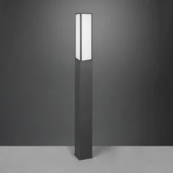 Trio Lighting LED-gadelampe Fuerte, antracit, aluminium, IP54