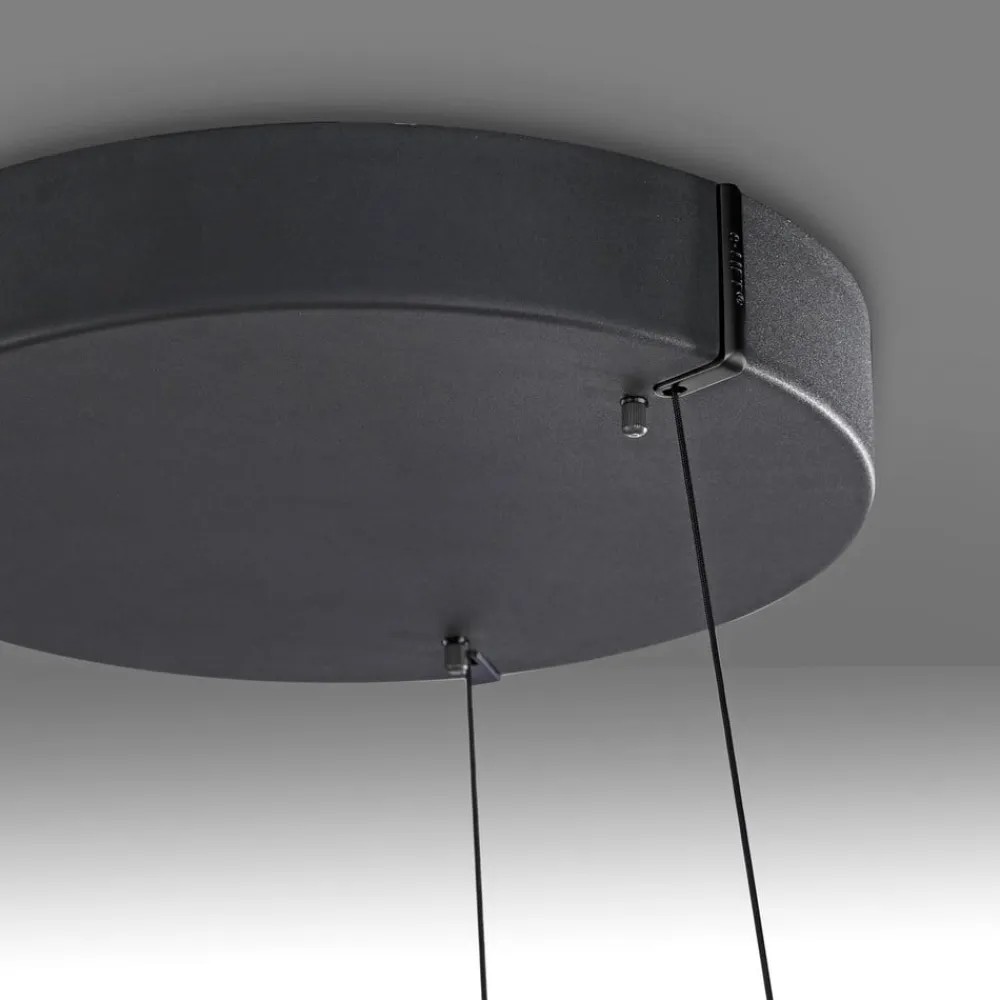 PURE LED-hængelampe E-Loop, eg/sort perle, Ø 70 cm aluminium, CCT