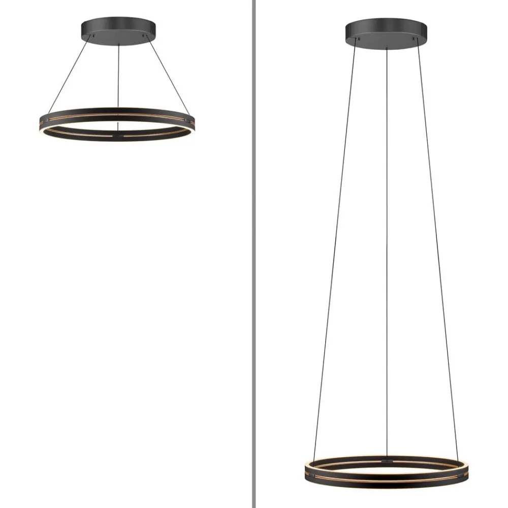 PURE LED-hængelampe E-Loop, eg/sort perle, Ø 70 cm aluminium, CCT