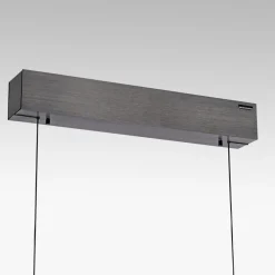 PURE Pendellamper><noscript><img width=