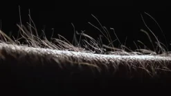 PURE Pendellamper><noscript><img width=