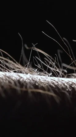 PURE Pendellamper><noscript><img width=