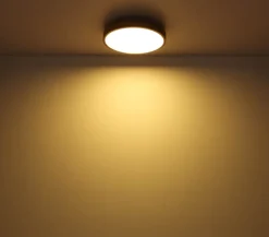 LED-loftlampe Doro, Ø 45 cm, mørk grafit/træ, træ, CCT^Globo Clearance