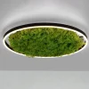 LED-loftlampe Green Ritus, mos dæmpbar Ø58,5cm^JUST LIGHT. GmbH Sale