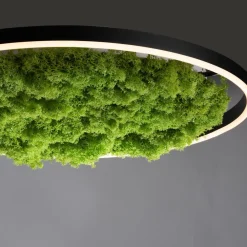 LED-loftlampe Green Ritus, mos dæmpbar Ø58,5cm^JUST LIGHT. GmbH Sale