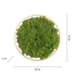 LED-loftlampe Grøn Ritus, mos dæmpbar Ø39,3cm^JUST LIGHT. GmbH Online