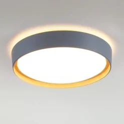 JUST LIGHT. GmbH Gang|Loftlamper>LED-loftslampe Emilia, tretrins dæmpbar, grå