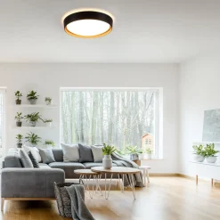 LED-loftslampe Emilia 3-trins dæmpbar sort^JUST LIGHT. GmbH Clearance