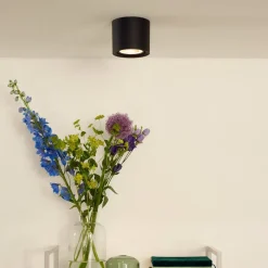 Lucide LED-loftslampe Fedler dæmpet til varm, sort