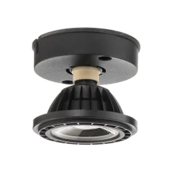 Lucide LED-loftslampe Fedler dæmpet til varm, sort