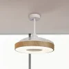 Mantra Iluminación Loftventilatorer>LED-loftventilator Coin træ DC-motor lydsvag Ø 106 cm CCT