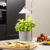 LED-plantebelysning ISL-60028^Smartwares Hot