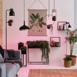 Paulmann LED-plantepære E14 R50 4W