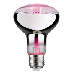 Paulmann LED-plantepære E27 R80 6,5W