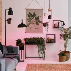 Paulmann LED-plantepære E27 R80 6,5W