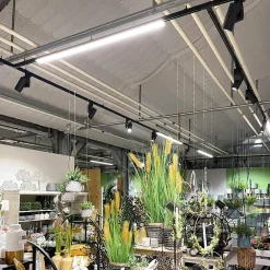 Deko-Light Skinnesystem>LED-skinnelampe LINEAR PRO sort 930 60 cm 3-kredsløb DALI