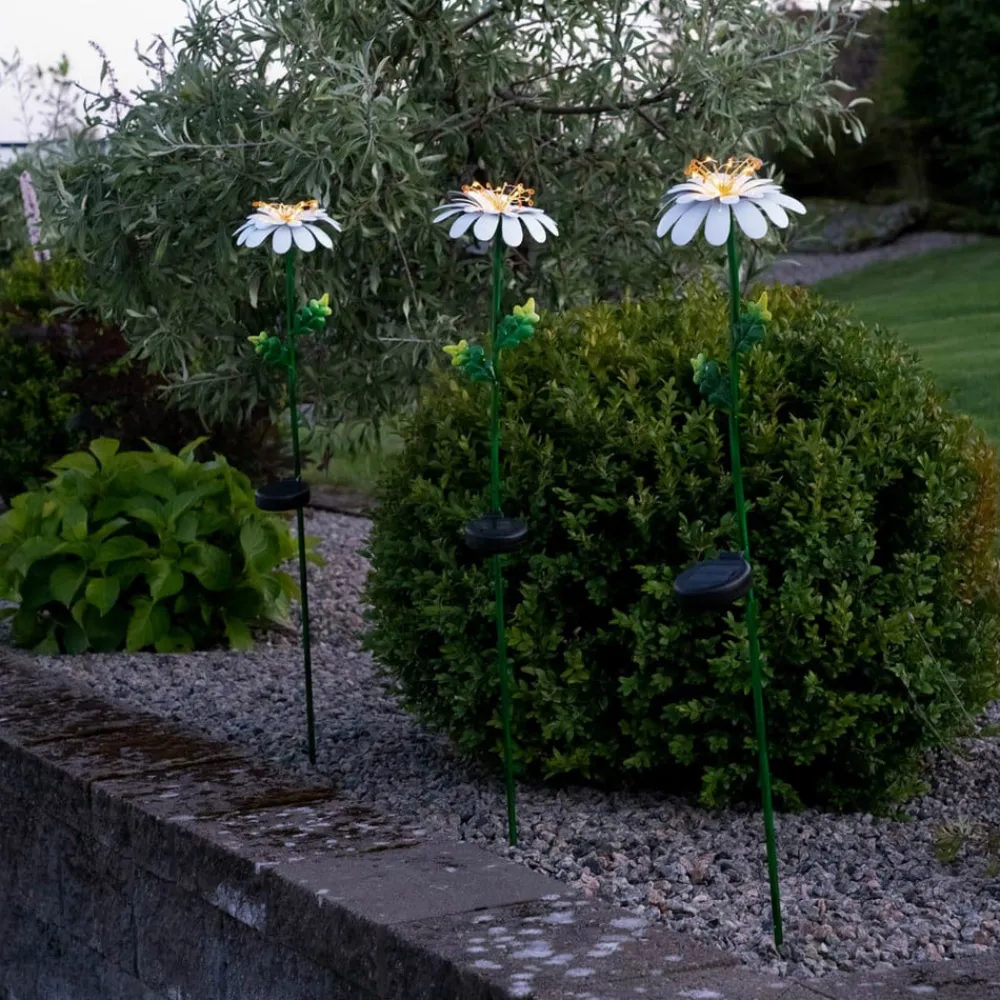 LED-solcellelampe Daisy i daisyform^STAR TRADING Discount