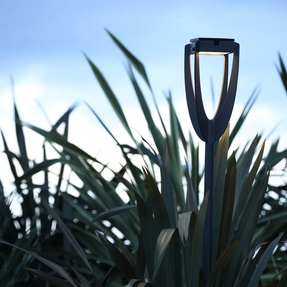 Les Jardins LED-solcellelampe Tulip med jordspyd, antracit