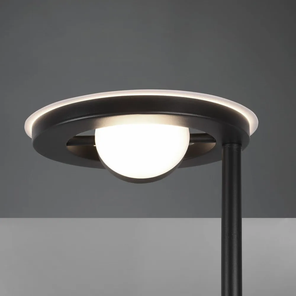 Trio Lighting Gulvlamper>LED-uplight Barrie med læselampe, sort mat