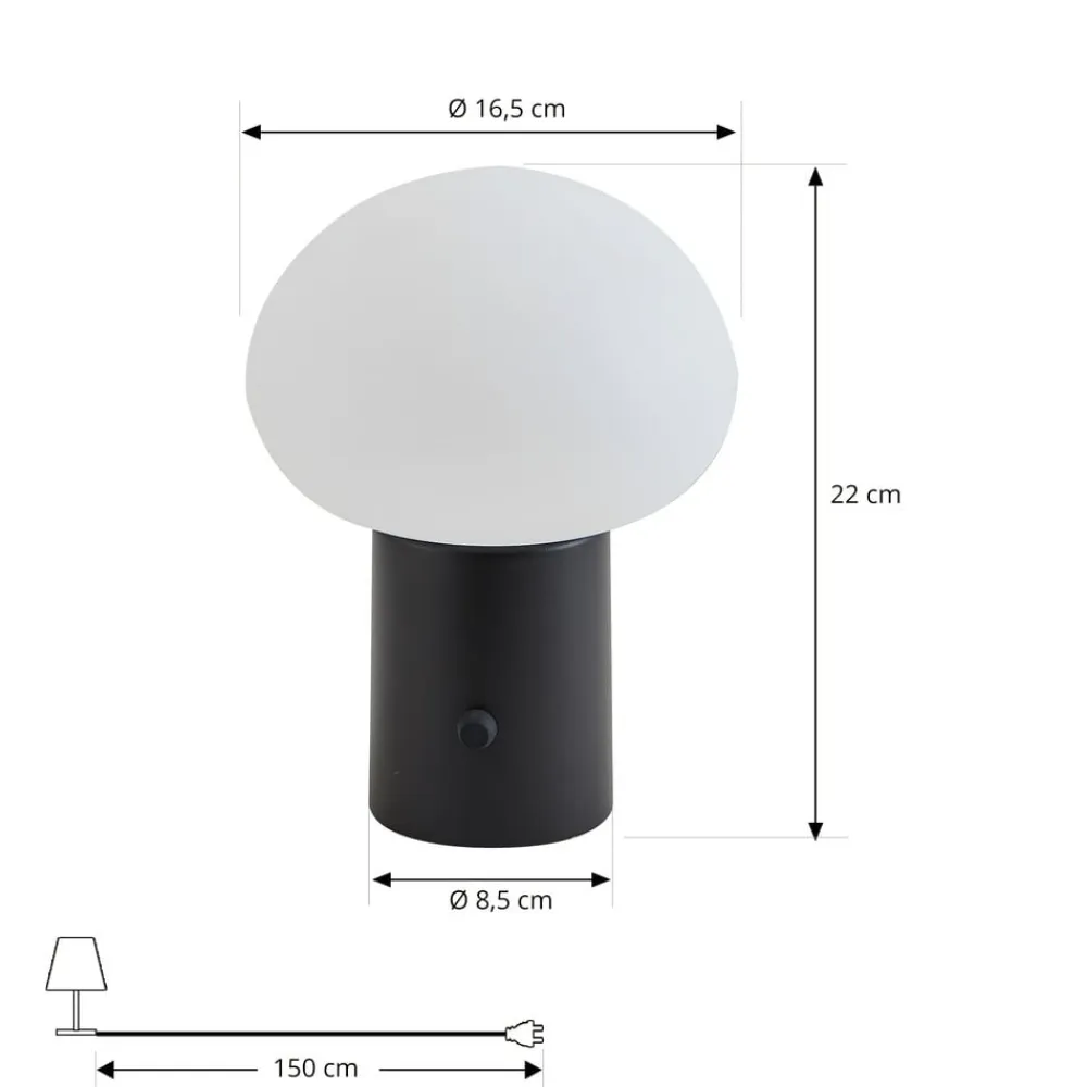 Lindby LED genopladelig bordlampe Zelie, sort, aluminium, IP44