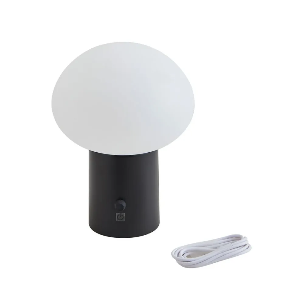 Lindby LED genopladelig bordlampe Zelie, sort, aluminium, IP44