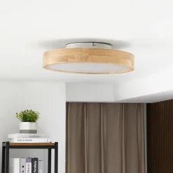 LED-loftlampe Milada, eg, CCT, fjernbetjening^Lindby Discount