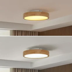 LED-loftlampe Milada, eg, CCT, fjernbetjening^Lindby Discount