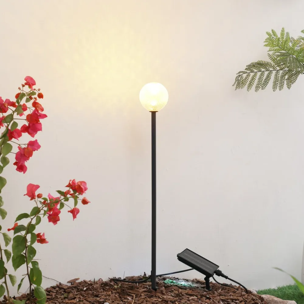 LED-solcellelampe Brindley, sort, glas, IP65^Lindby Sale