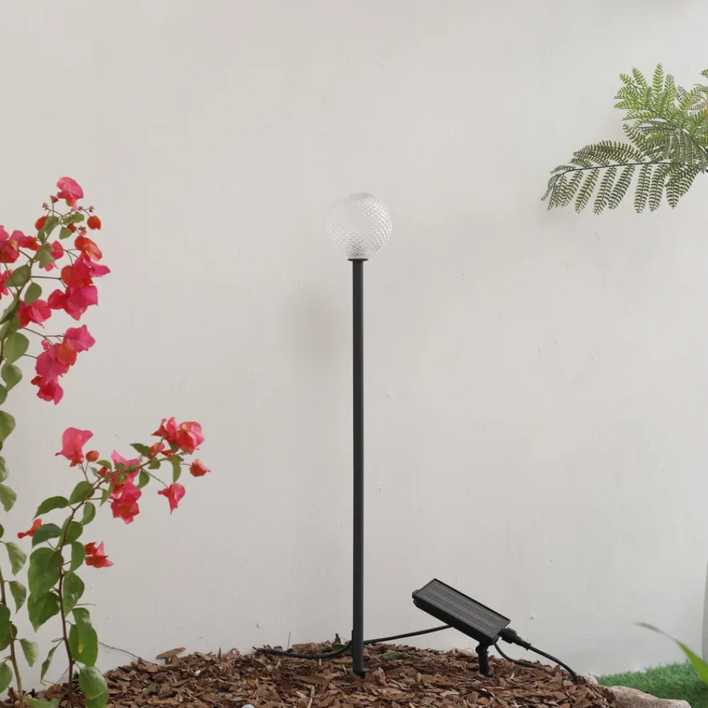 LED-solcellelampe Brindley, sort, glas, IP65^Lindby Sale