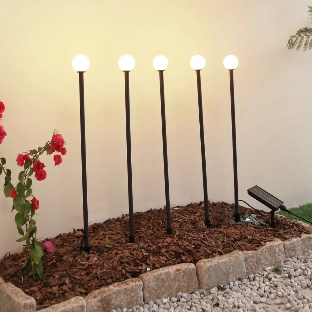 Lindby Solcellelamper|Udendørs Spot>LED-solcellelampe Freydis, sæt med 5, sort, 2.000 K