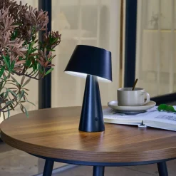 Lindby Solcellelamper>LED-solcellelampe Lirinor sort plast 13 cm