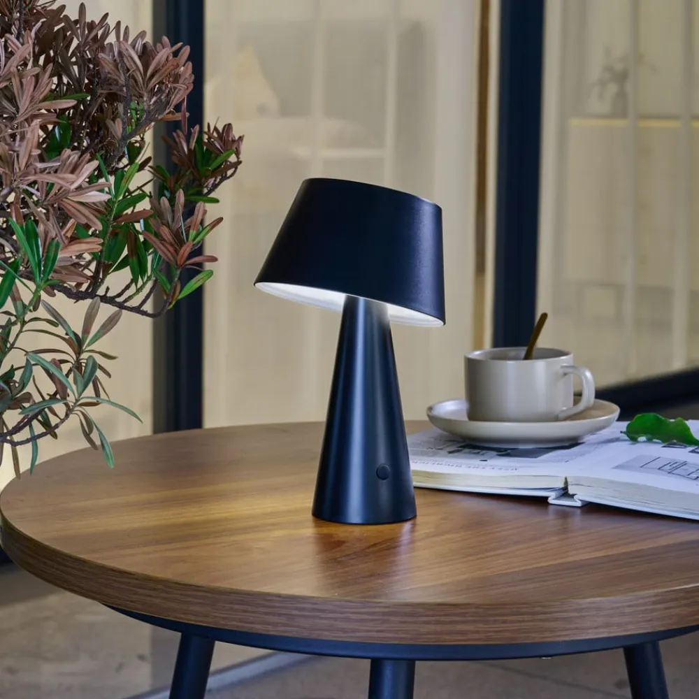 Lindby Solcellelamper>LED-solcellelampe Lirinor sort plast 13 cm