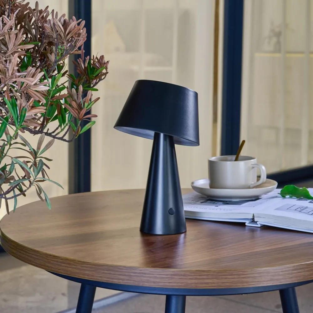 Lindby Solcellelamper>LED-solcellelampe Lirinor sort plast 13 cm