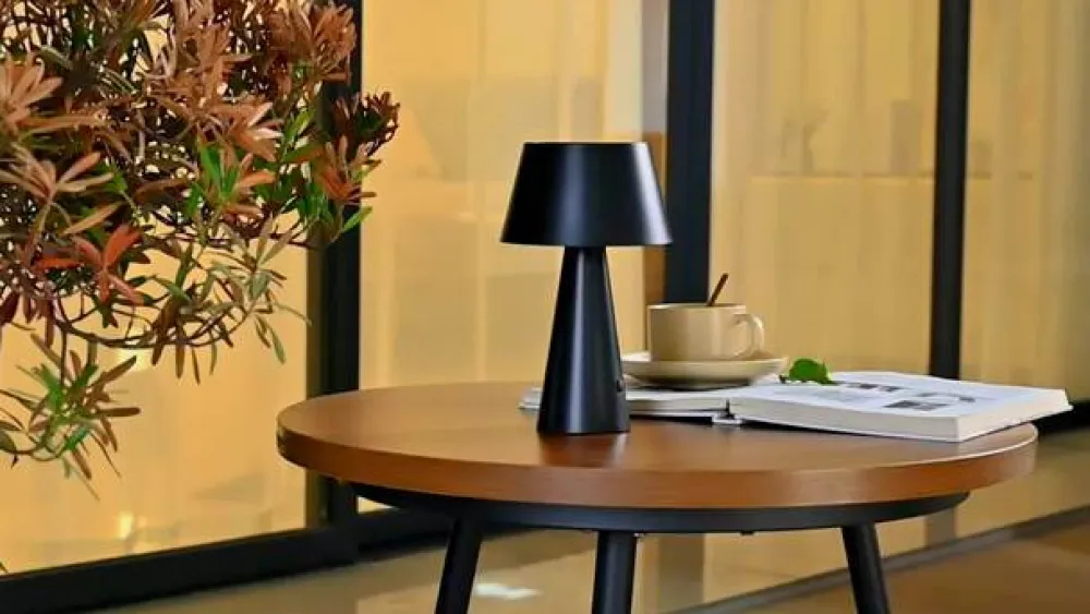 Lindby Solcellelamper>LED-solcellelampe Lirinor sort plast 13 cm