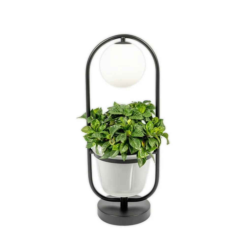 Orna bordlampe, 1 lyskilde, blomsterampel^Lindby Best