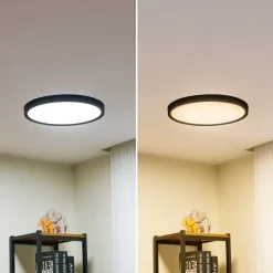 Smart LED loftlampe Pravin, Ø 40 cm, CCT, sort^Lindby Clearance