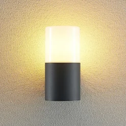 Tabyn udendørs væglampe, 1 lyskilde^Lindby Online