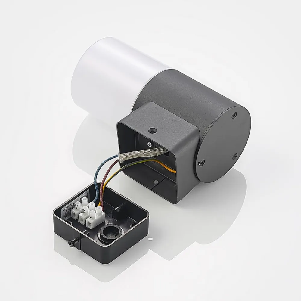 Tabyn udendørs væglampe, 1 lyskilde^Lindby Online