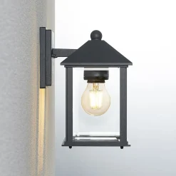 udendørs væglampe Giavanna, 23,3 cm, antracit, glas^Lindby