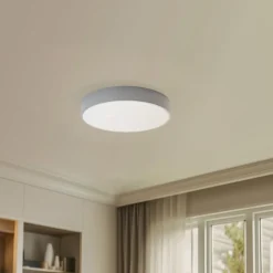 TEMAR LIGHTING Loftlamper>Loftlampe Cleo, Ø 50 cm, IP54, grå, metal, E27