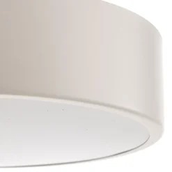 TEMAR LIGHTING Loftlampe Cleo 300, IP54, Ø 30 cm hvid