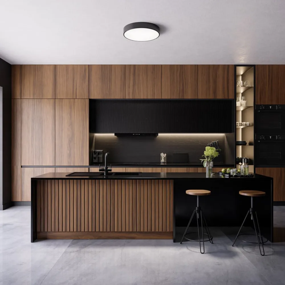 TEMAR LIGHTING Loftlamper>Loftlampe Cleo 500, sort, sensor, IP54, Ø 50 cm, metal