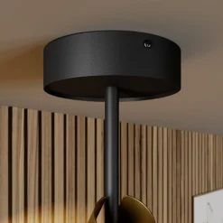 SIGMA Spotlights><noscript><img width=