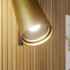 SIGMA Spotlights><noscript><img width=