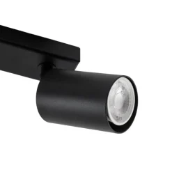 Loftspot Zoom, 2 lyskilder, sort^SIGMA Best