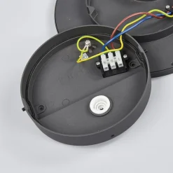 Lucande LED udendørs loftlampe Malena, bevægelsessensor, IP65