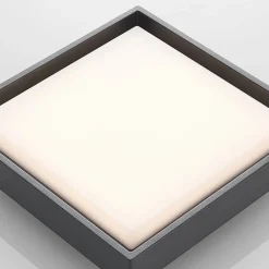 LED udendørs loftlampe Birta, mørkegrå, 27 cm, IP54^Lucande Online